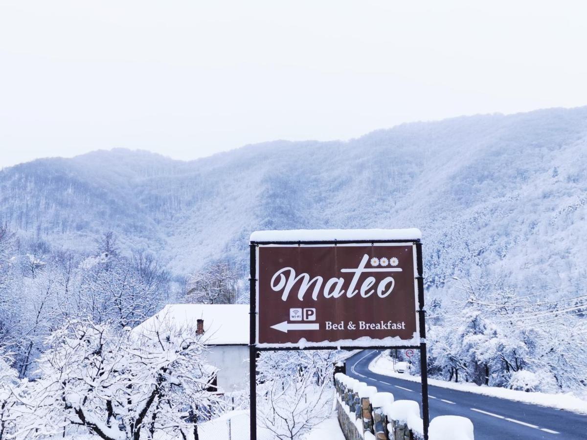 Mateo Transalpina Ξενοδοχείο Săsciori Εξωτερικό φωτογραφία