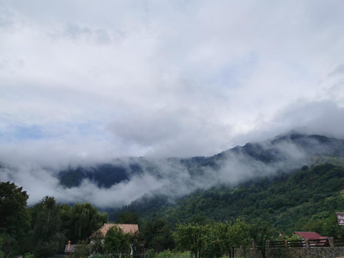 Mateo Transalpina Ξενοδοχείο Săsciori Εξωτερικό φωτογραφία