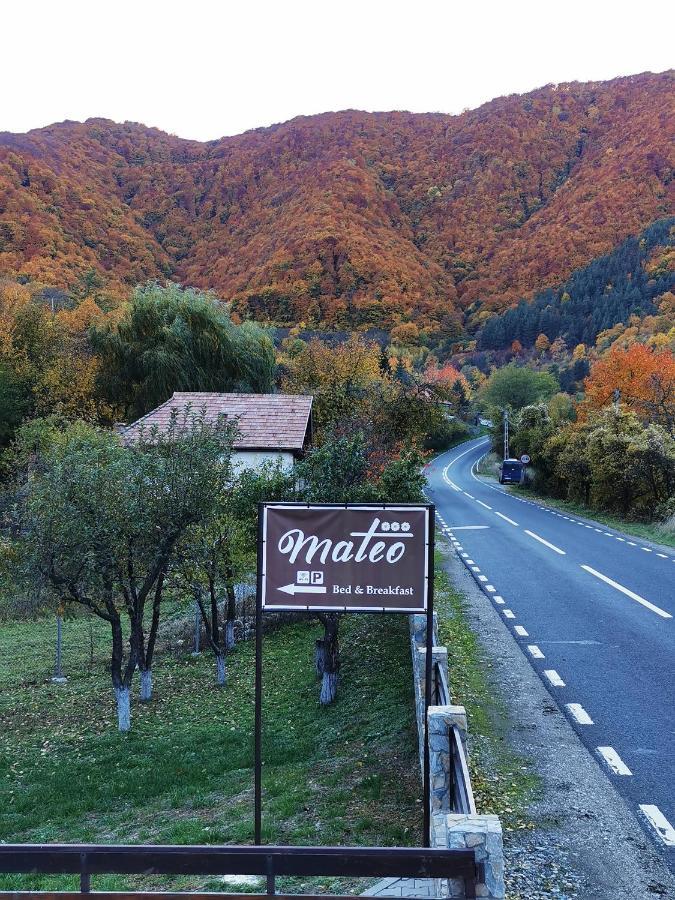Mateo Transalpina Ξενοδοχείο Săsciori Εξωτερικό φωτογραφία