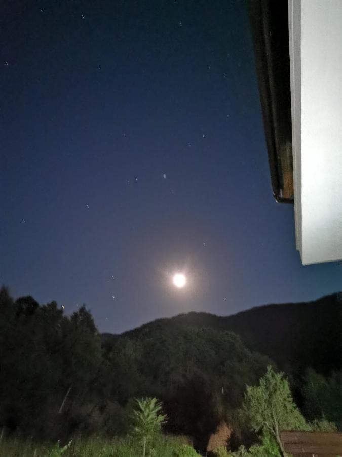 Mateo Transalpina Ξενοδοχείο Săsciori Εξωτερικό φωτογραφία