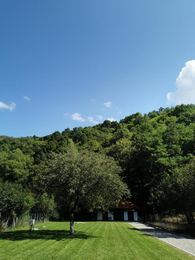 Mateo Transalpina Ξενοδοχείο Săsciori Εξωτερικό φωτογραφία
